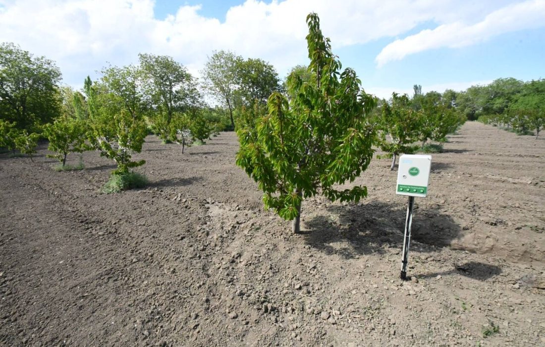 کاهش ۶۰ درصدی مصرف آب کشاورزی در حوضه دریاچه ارومیه با روشهای نوین آبیاری دانشگاهیان