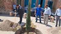 کاشت نهال سرو در ارومیه به یاد شهدای دانش‌آموز میناب برگزار شد