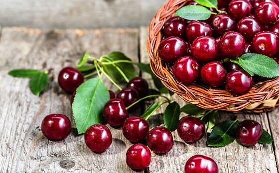 پیشبینی برداشت ۳۳ هزار تن گیلاس در آذربایجانغربی