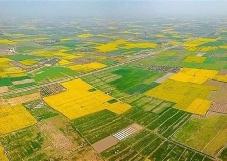 از بین رفتن بیش از 1155 هکتار از اراضی کشاورزی در آذربایجان غربی