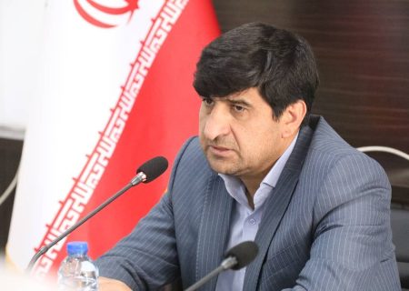 واردات ۵۰ هزار خودرو از منطقه آزاد ماکو تا پایان سال هدف‌گذاری شد